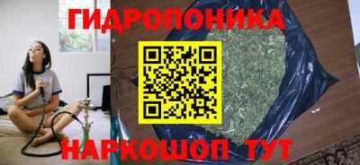 крисы Ирбит