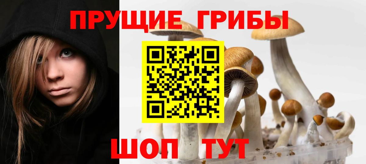 Галлюциногенные грибы Cubensis  Галлюциногенные грибы ЛСД  купить закладку  Вход с VPN  Лысьва 